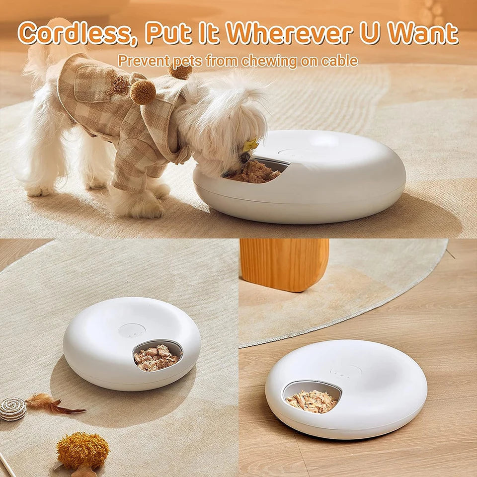 automatic pet feeder