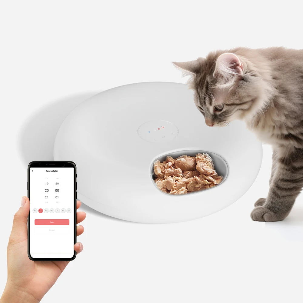 Automatic pet feeder